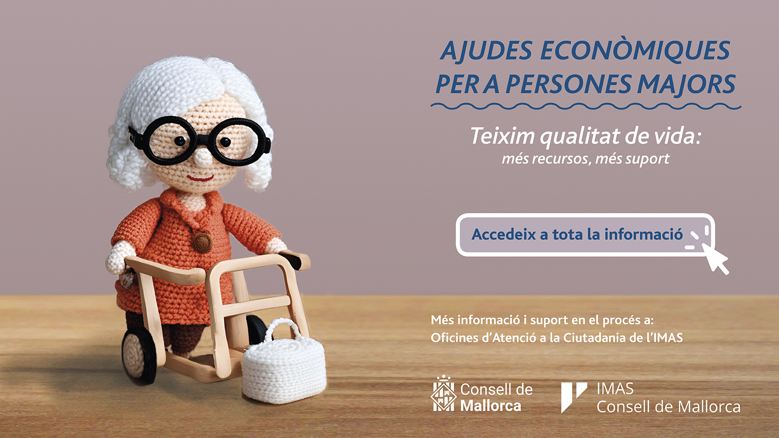 00ajudesEconomiquesIndividualsv2
